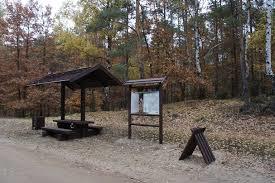 Wieliszewska Trasa Crossowa